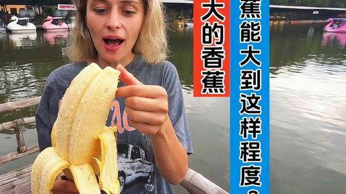 国产视频大香蕉,揭秘国内影视产业的魅力与挑战